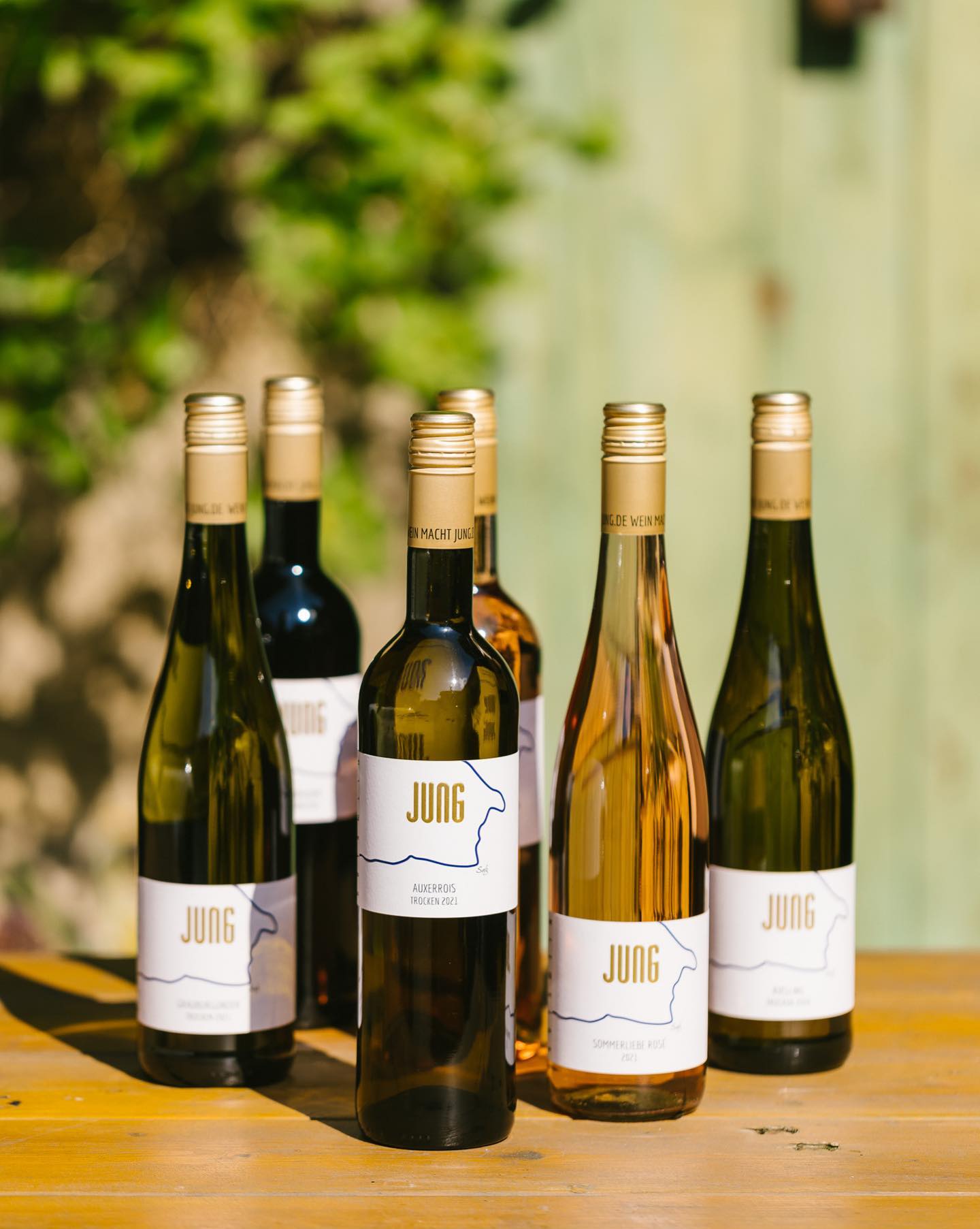 Jung - Rheinhessen